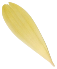 עלה